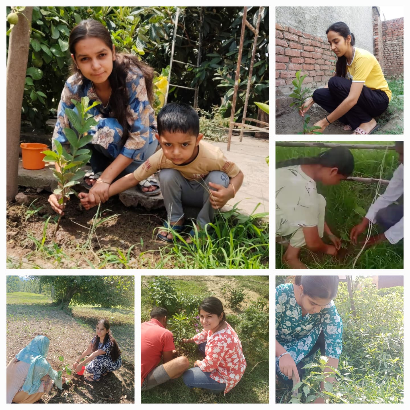 Students took selfies with their families by planting trees and gave the message of environmental protection Students took selfies with their families by planting trees and gave the message of environmental protection