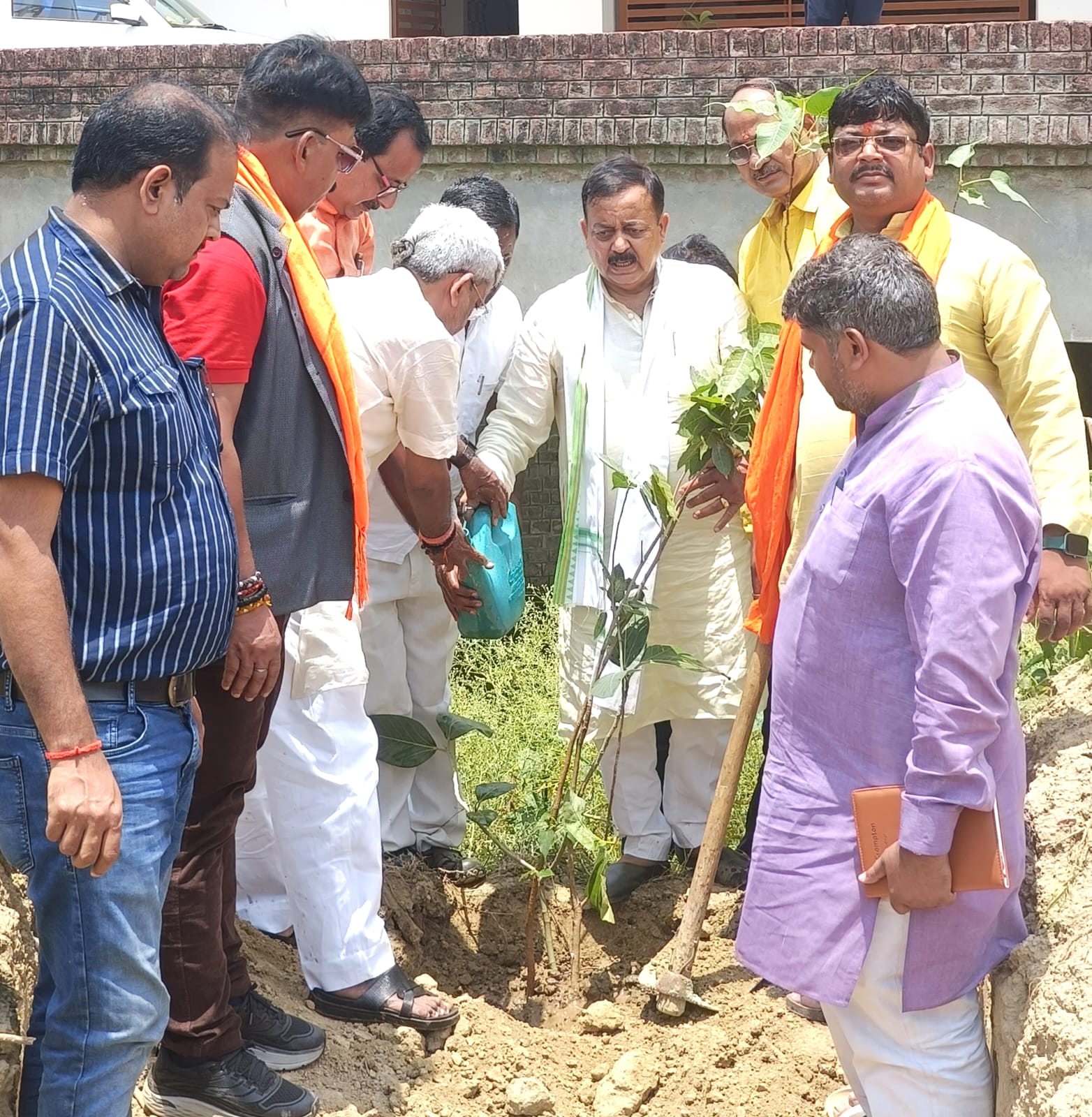 वृक्षारोपण वृक्षारोपण