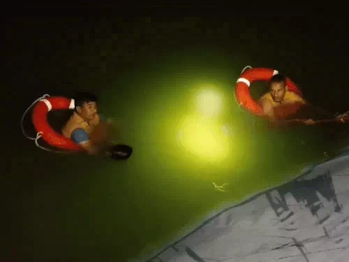 सर्च ऑपरेशन