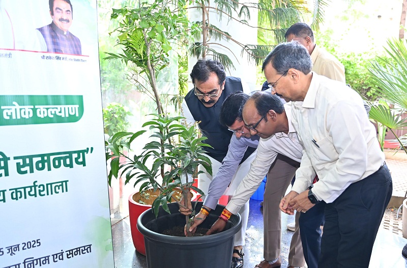लोकनिर्माण विभाग की ‘पर्यावरण से समन्वय’ विषय पर कार्यशाला लोकनिर्माण विभाग की ‘पर्यावरण से समन्वय’ विषय पर कार्यशाला