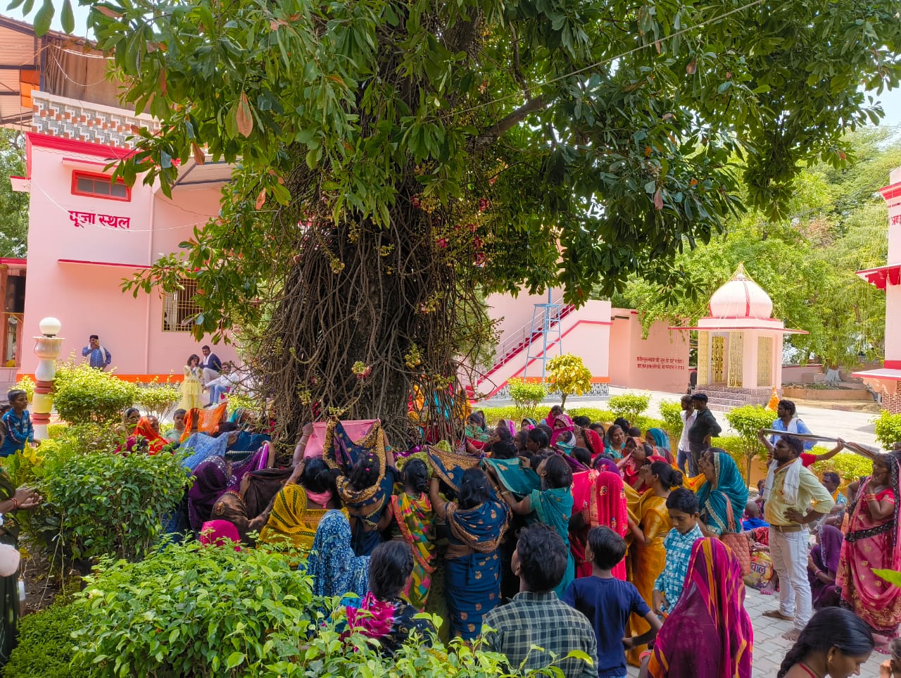 जगतानंद आश्रम के शिवलिंगी फुल के पेड़ के पास संतान प्राप्ति के लिए आंचल फैला कर फूल गिरने का इंतजार करती महिलाएं। जगतानंद आश्रम के शिवलिंगी फुल के पेड़ के पास संतान प्राप्ति के लिए आंचल फैला कर फूल गिरने का इंतजार करती महिलाएं।