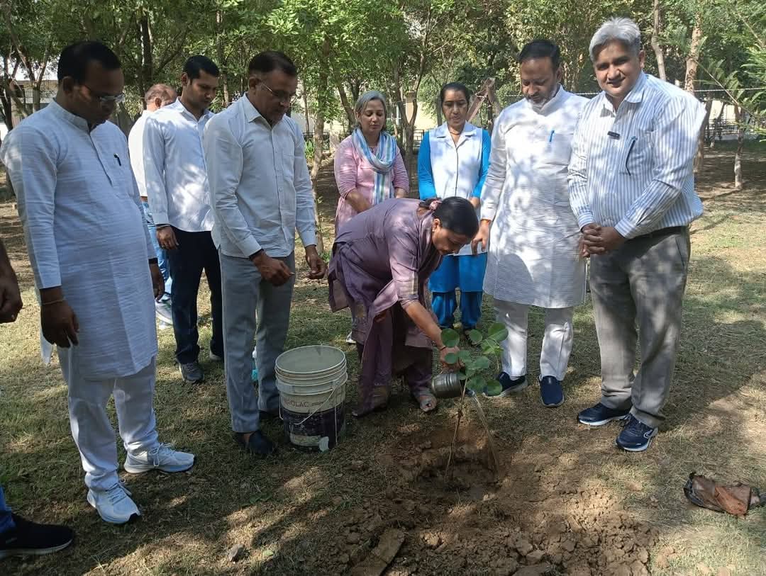 चंदन का पेड लगाते हुए भाजपा जिला अध्यक्षा ज्योति सैनी। चंदन का पेड लगाते हुए भाजपा जिला अध्यक्षा ज्योति सैनी।