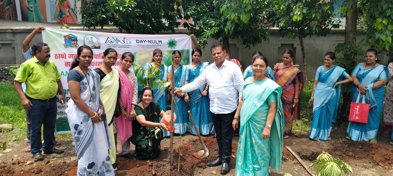One tree name of mother campaign started One tree name of mother campaign started