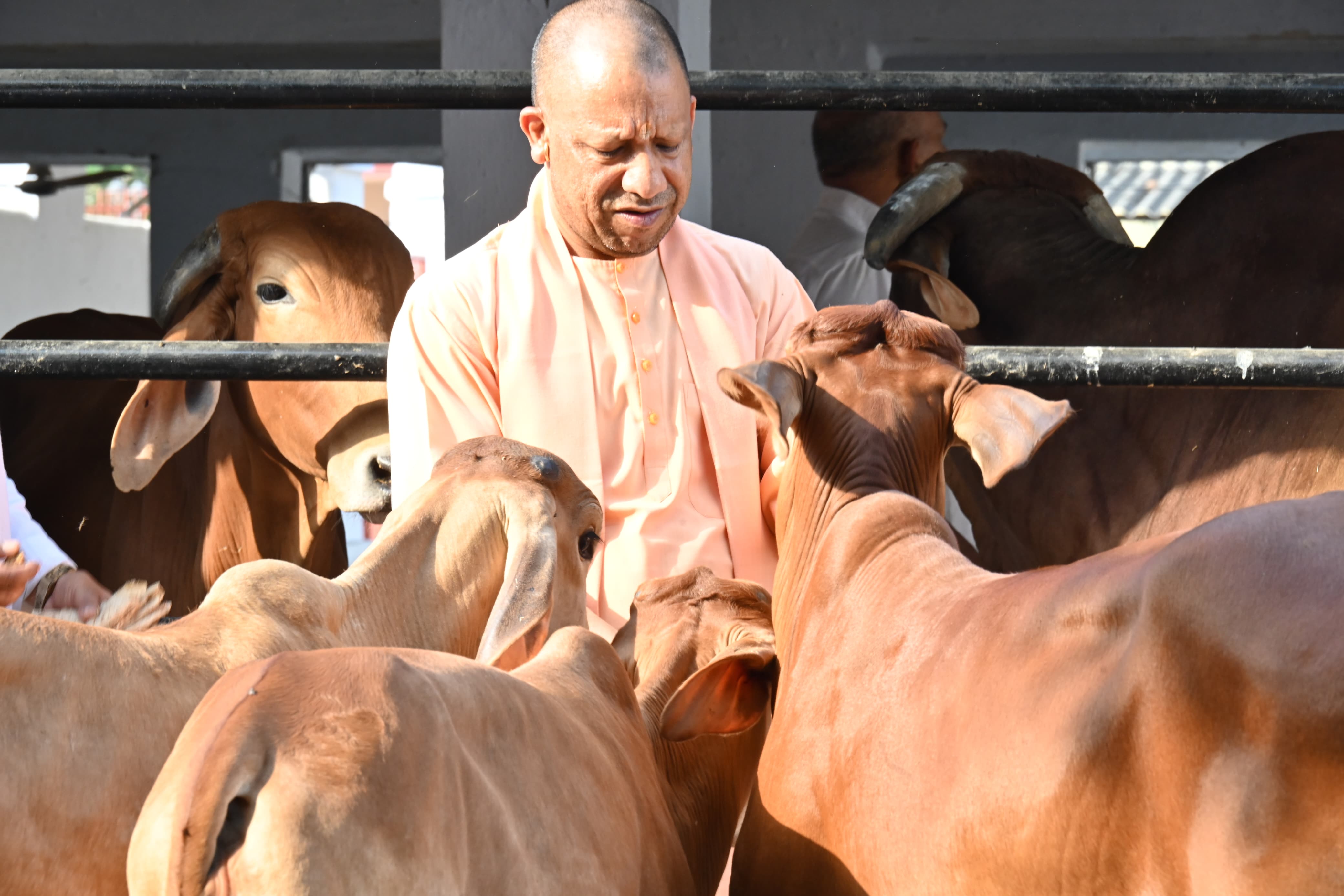 *जनता दर्शन में 200 लोगों की समस्याएं सुनीं सीएम योगी ने* *जनता दर्शन में 200 लोगों की समस्याएं सुनीं सीएम योगी ने*