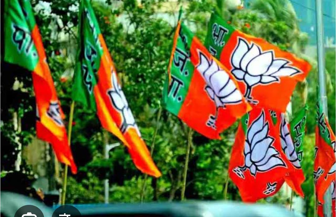 भाजपा का झंडा भाजपा का झंडा