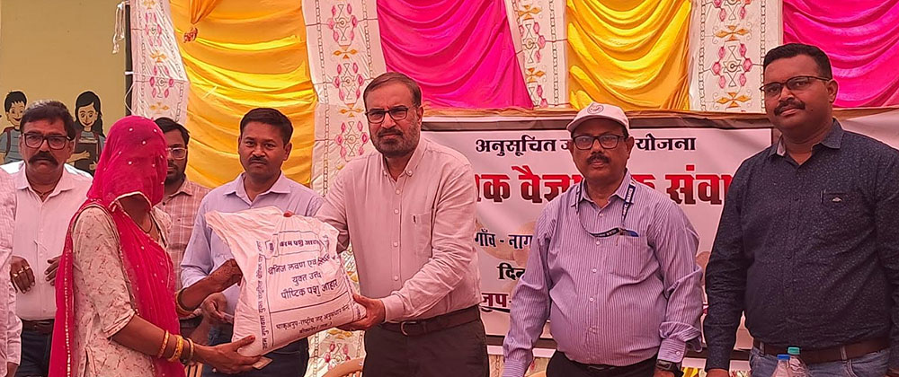प्रदेश में भेड़, बकरी एवं ऊँट पालन ग्रामीण आजीविका के सशक्त माध्यम : पूनिया प्रदेश में भेड़, बकरी एवं ऊँट पालन ग्रामीण आजीविका के सशक्त माध्यम : पूनिया