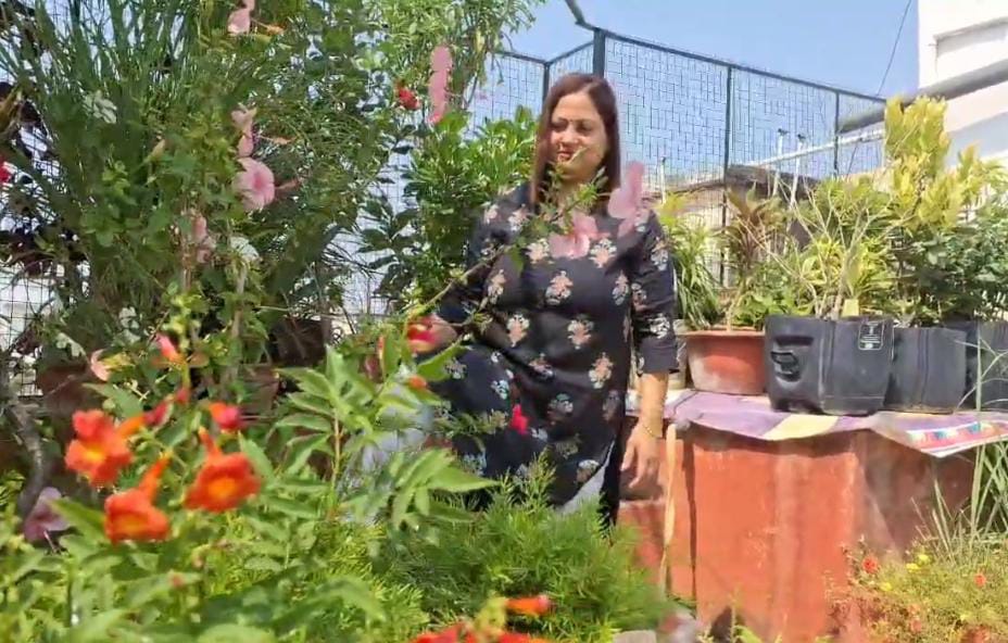 अपने बागीचे में पूनम पांडे अपने बागीचे में पूनम पांडे