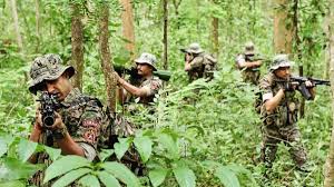सुरक्षा बलों की माओवादियों से सुकमा जिले में मुठभेड़,फाइल फोटो सुरक्षा बलों की माओवादियों से सुकमा जिले में मुठभेड़,फाइल फोटो