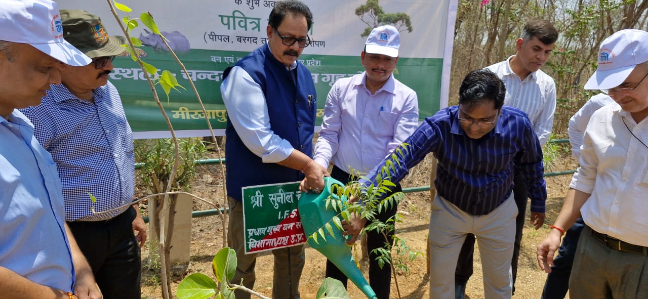 पौध।रोपण करते विभागाध्यक्ष सुनील चौधरी। पौध।रोपण करते विभागाध्यक्ष सुनील चौधरी।
