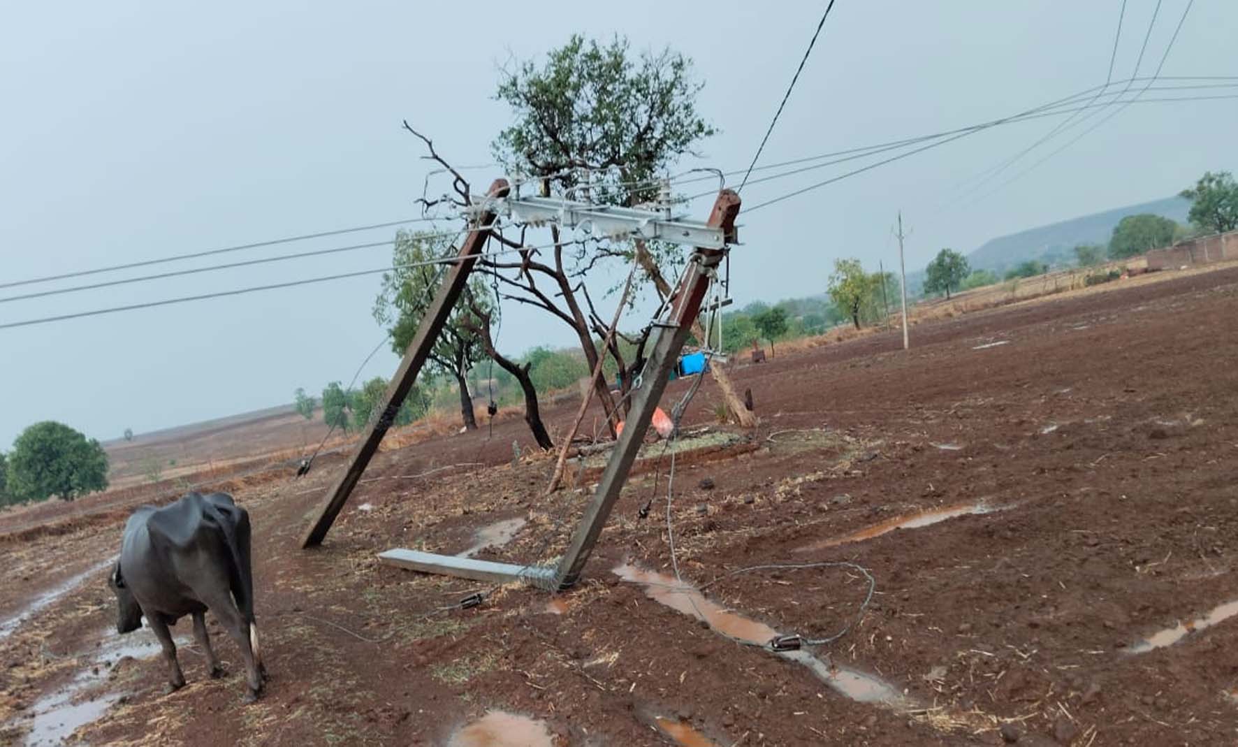 गुना में मौसम का कहर : गुना में मौसम का कहर :