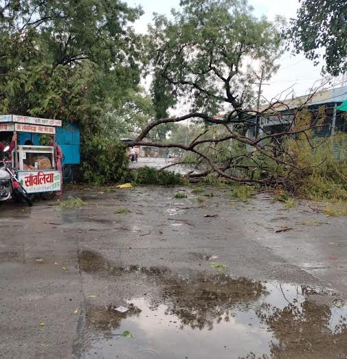 मौसम: दोपहर तक गर्मी...फिर मिली थोड़ी राहत मौसम: दोपहर तक गर्मी...फिर मिली थोड़ी राहत