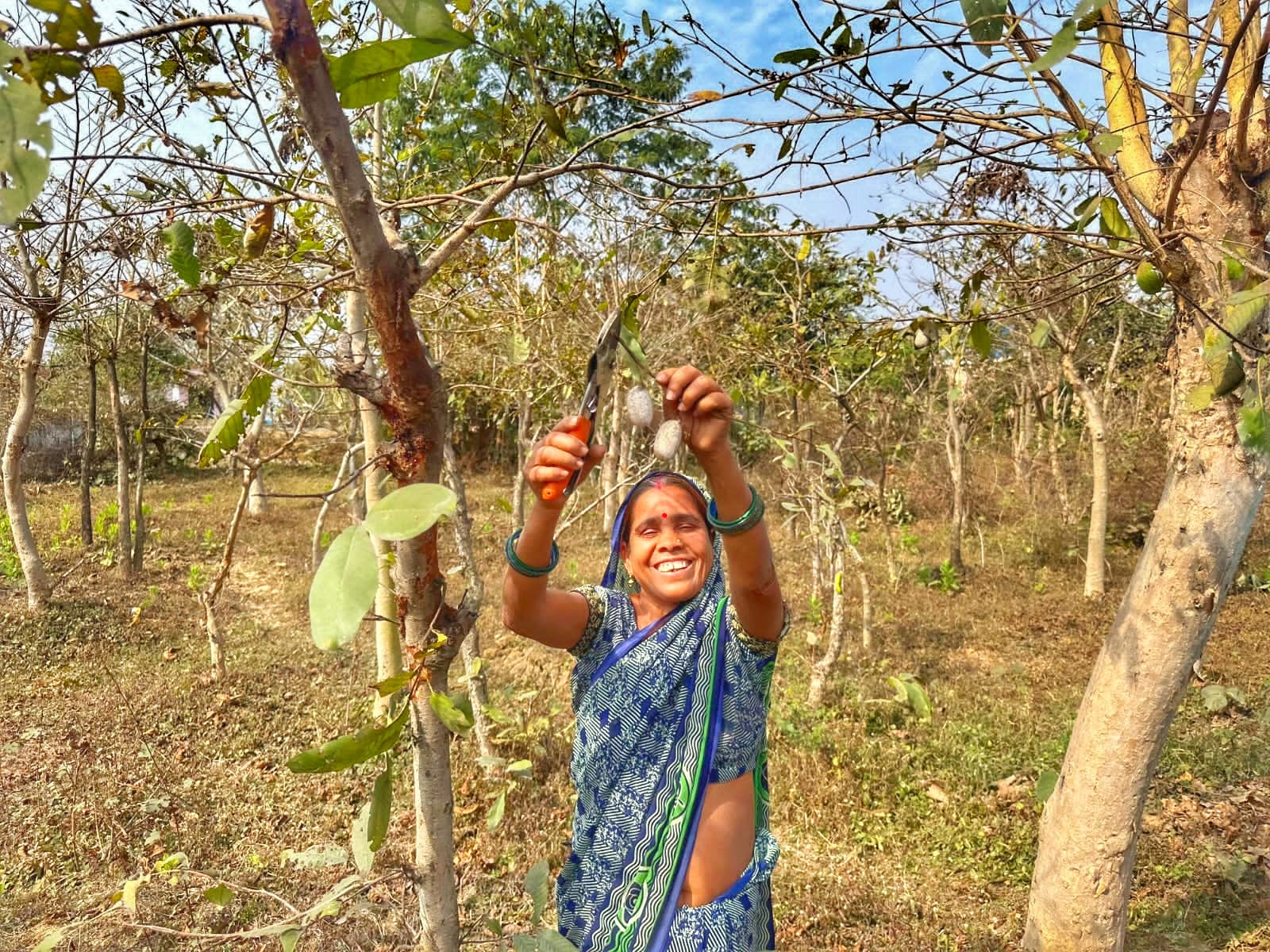 रेशम विभाग एवं महात्मा गांधी नरेगा के समन्वित प्रयासों से भिलाई में अर्जुन पौधरोपण एवं जल संरक्षण कार्यों ने दिलाई नई दिशा रेशम विभाग एवं महात्मा गांधी नरेगा के समन्वित प्रयासों से भिलाई में अर्जुन पौधरोपण एवं जल संरक्षण कार्यों ने दिलाई नई दिशा