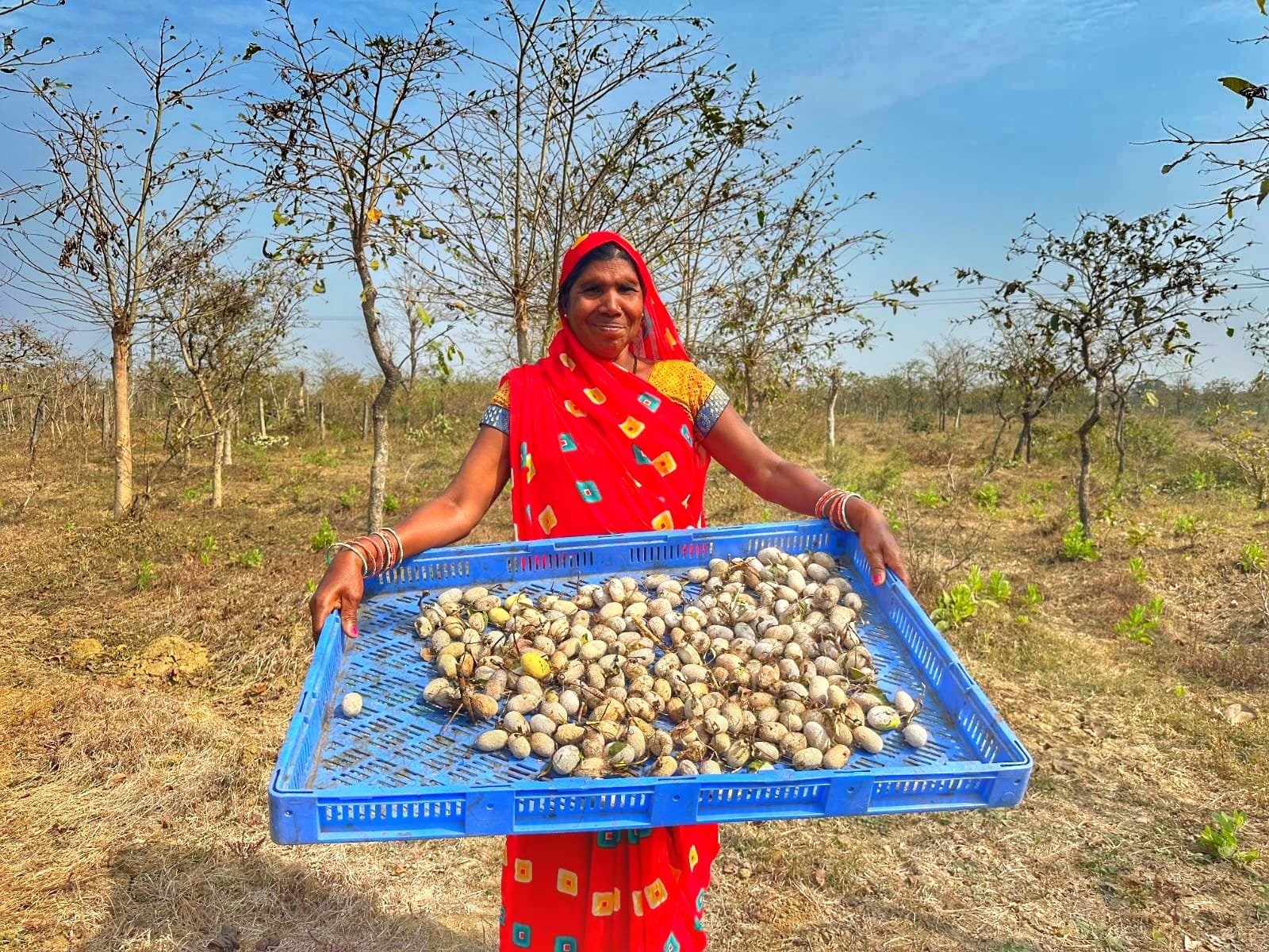रेशम विभाग एवं महात्मा गांधी नरेगा के समन्वित प्रयासों से भिलाई में अर्जुन पौधरोपण एवं जल संरक्षण कार्यों ने दिलाई नई दिशा रेशम विभाग एवं महात्मा गांधी नरेगा के समन्वित प्रयासों से भिलाई में अर्जुन पौधरोपण एवं जल संरक्षण कार्यों ने दिलाई नई दिशा