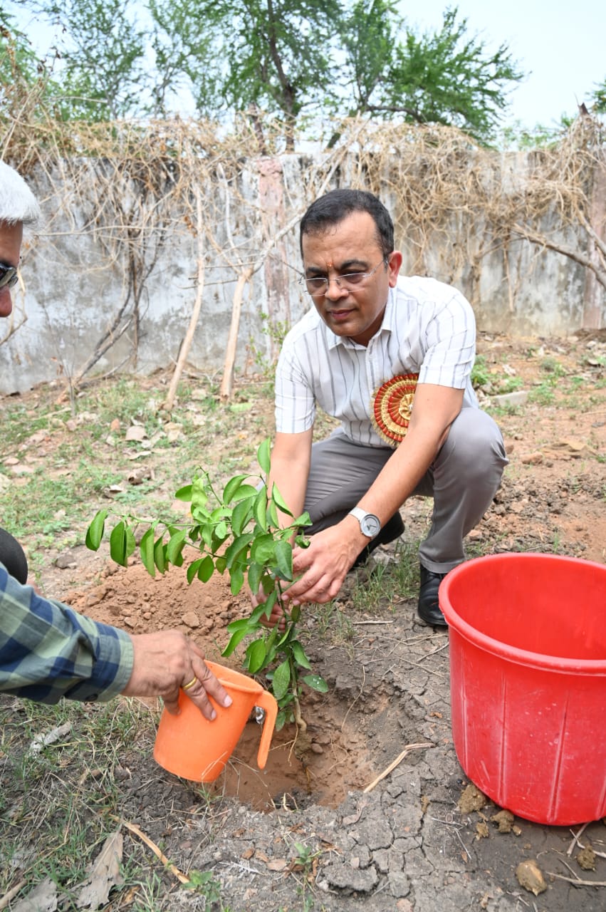 जांजगीर जिले के सभी स्कूलों मे उत्साह और उल्लास के साथ मनाया गया प्रवेश उत्सव जांजगीर जिले के सभी स्कूलों मे उत्साह और उल्लास के साथ मनाया गया प्रवेश उत्सव