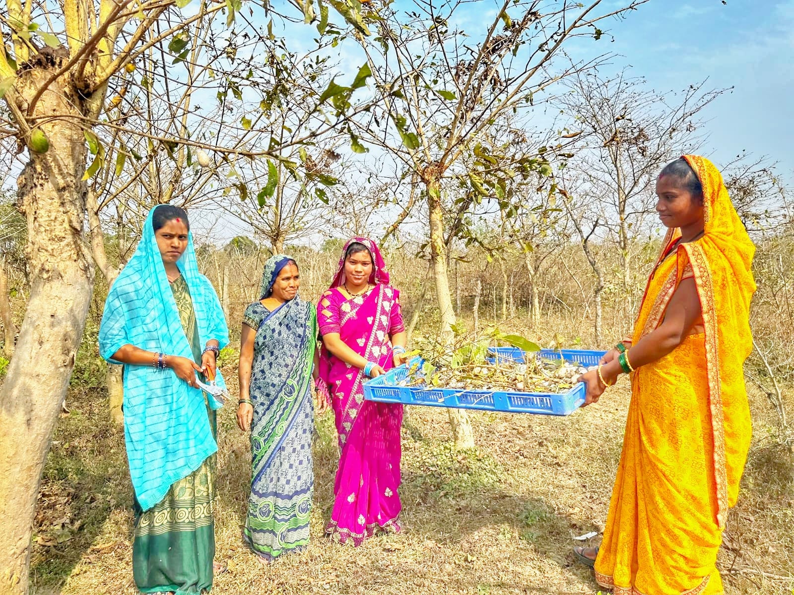 रेशम विभाग एवं महात्मा गांधी नरेगा के समन्वित प्रयासों से भिलाई में अर्जुन पौधरोपण एवं जल संरक्षण कार्यों ने दिलाई नई दिशा रेशम विभाग एवं महात्मा गांधी नरेगा के समन्वित प्रयासों से भिलाई में अर्जुन पौधरोपण एवं जल संरक्षण कार्यों ने दिलाई नई दिशा