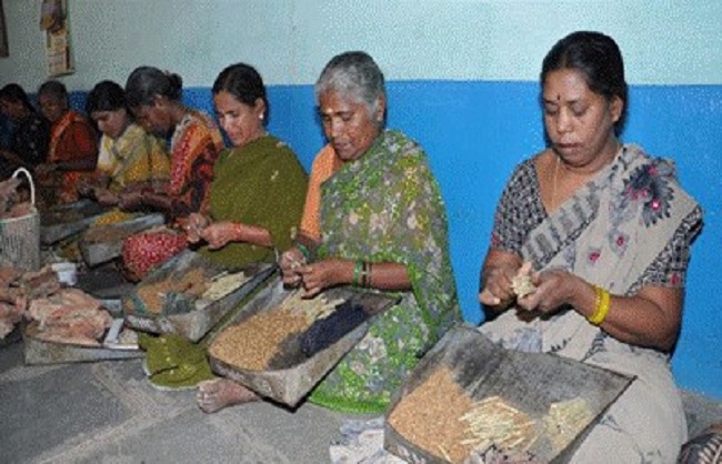 श्रम एवं रोजगार मंत्रालय के जारी फोटो श्रम एवं रोजगार मंत्रालय के जारी फोटो