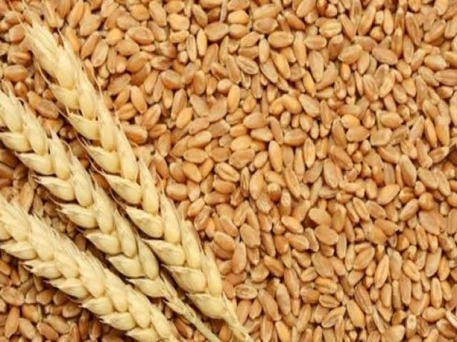 प्रतीकात्मक फोटो प्रतीकात्मक फोटो