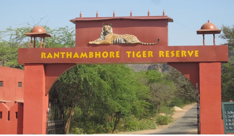 Tiger reserve, टाइगर रिजर्व, रणथंभौर Tiger reserve, टाइगर रिजर्व, रणथंभौर