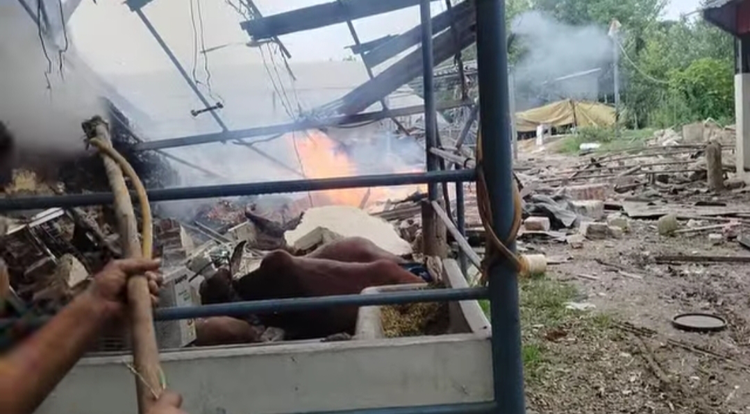 धमाके की चपेट में आईं मासूम गाय और उसका बछड़ा — दर्दनाक मंजर धमाके की चपेट में आईं मासूम गाय और उसका बछड़ा — दर्दनाक मंजर