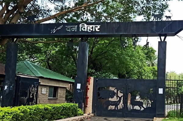 भोपाल वन विहार (फाइल फोटो) भोपाल वन विहार (फाइल फोटो)
