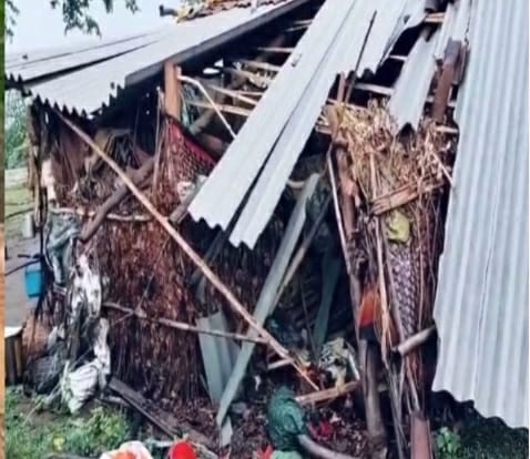 हाथी ने ग्रामीण के घर में जमकर तोड़फोड़ की हाथी ने ग्रामीण के घर में जमकर तोड़फोड़ की