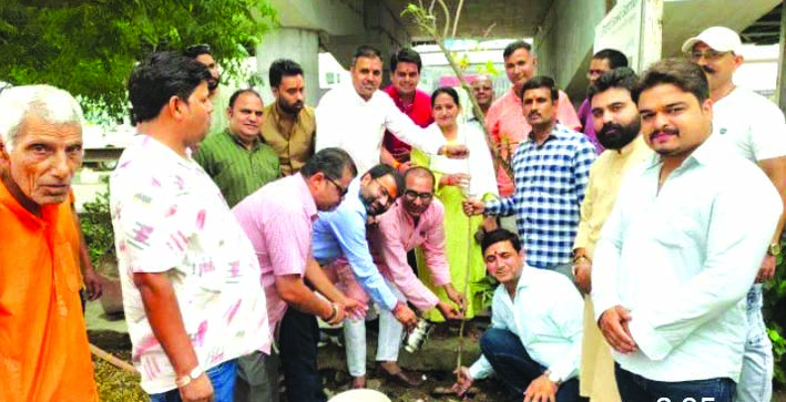 पौधारोपण करते हुए पौधारोपण करते हुए