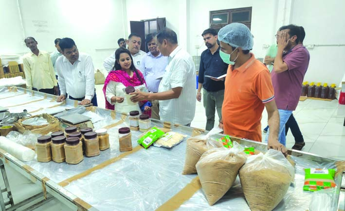 निरीक्षण के दौरान