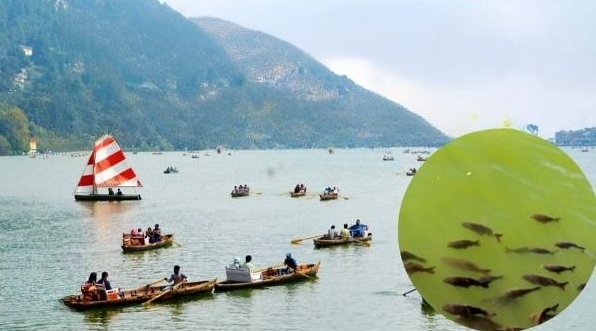 Naini Lake Naini Lake