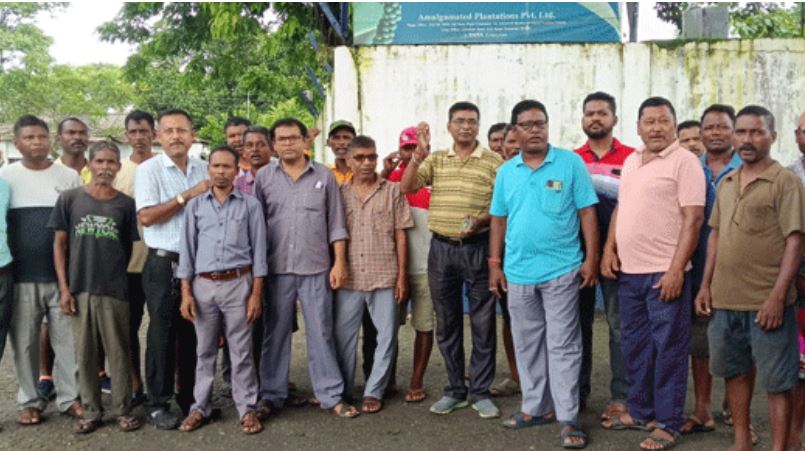 वेतन वृद्धि की मांग में चाय बागान के कर्मचारियों का हड़ताल वेतन वृद्धि की मांग में चाय बागान के कर्मचारियों का हड़ताल