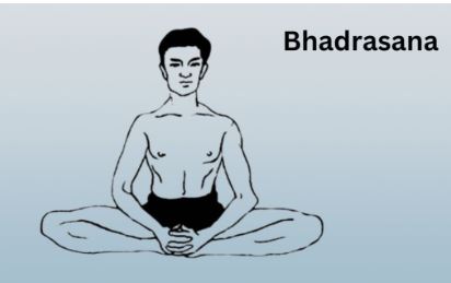 भद्रासन का चित्र भद्रासन का चित्र
