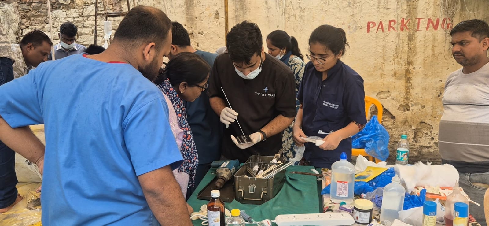 चार गौ माता की सर्जरी और तीन गौ माता का कृत्रिम पैर लगाया गया चार गौ माता की सर्जरी और तीन गौ माता का कृत्रिम पैर लगाया गया