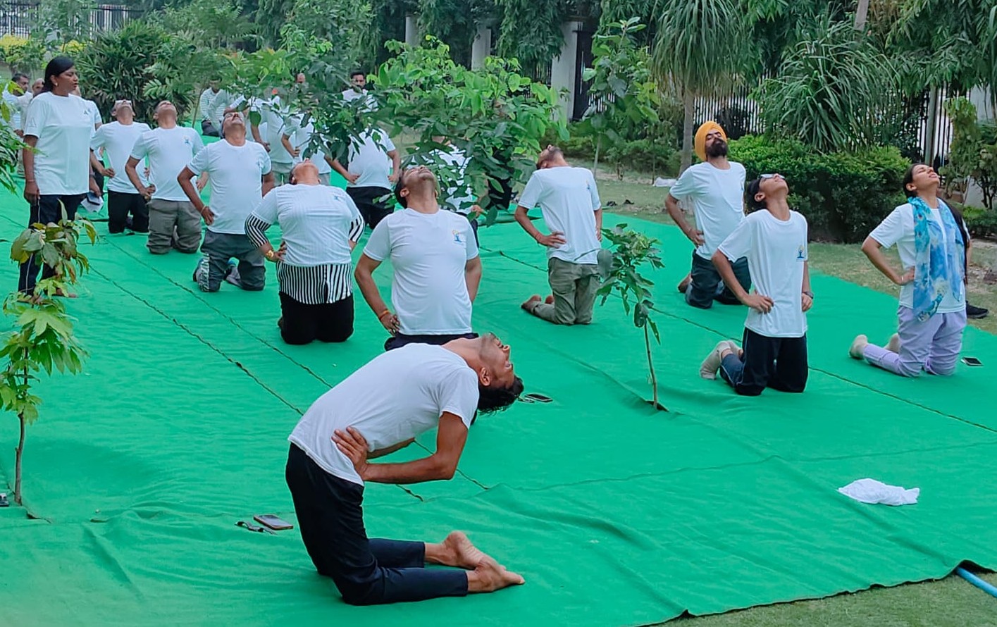 जिला न्यायिक परिसर में योग करते जज व वकील जिला न्यायिक परिसर में योग करते जज व वकील