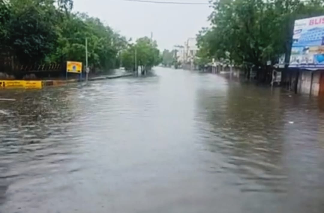नगर निगम के दावों की खुली पोल, भीलवाड़ा में पहली बारिश ने दिखाई सफाई व्यवस्था की हकीकत नगर निगम के दावों की खुली पोल, भीलवाड़ा में पहली बारिश ने दिखाई सफाई व्यवस्था की हकीकत