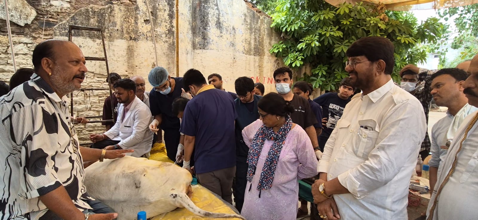 चार गौ माता की सर्जरी और तीन गौ माता का कृत्रिम पैर लगाया गया चार गौ माता की सर्जरी और तीन गौ माता का कृत्रिम पैर लगाया गया