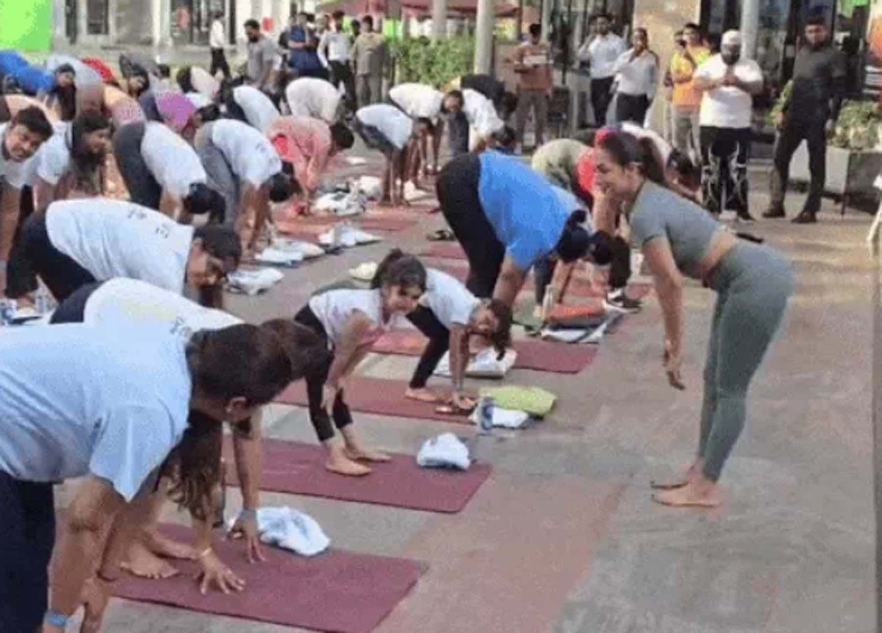 : गुरुग्राम के डीएलएफ क्लब में योग करातीं फिल्म अभिनेत्री मलाइका अरोड़ा। : गुरुग्राम के डीएलएफ क्लब में योग करातीं फिल्म अभिनेत्री मलाइका अरोड़ा।