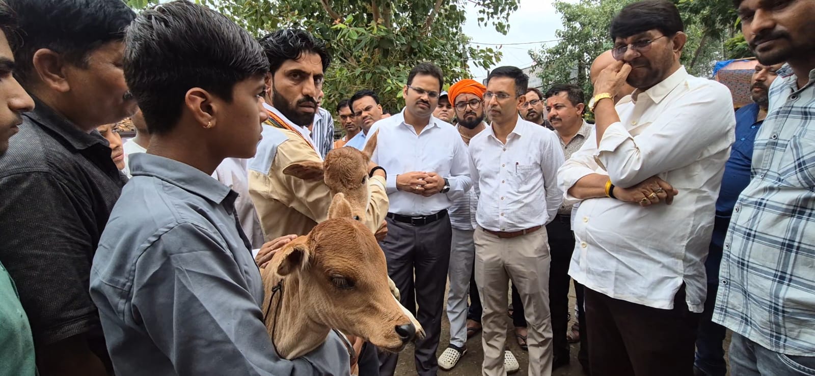 चार गौ माता की सर्जरी और तीन गौ माता का कृत्रिम पैर लगाया गया चार गौ माता की सर्जरी और तीन गौ माता का कृत्रिम पैर लगाया गया