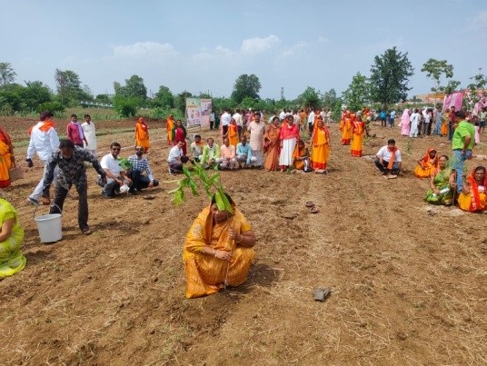 नगरीय इलाकों में हरित क्षेत्र विकास के लिये पौध-रोपण का कार्य