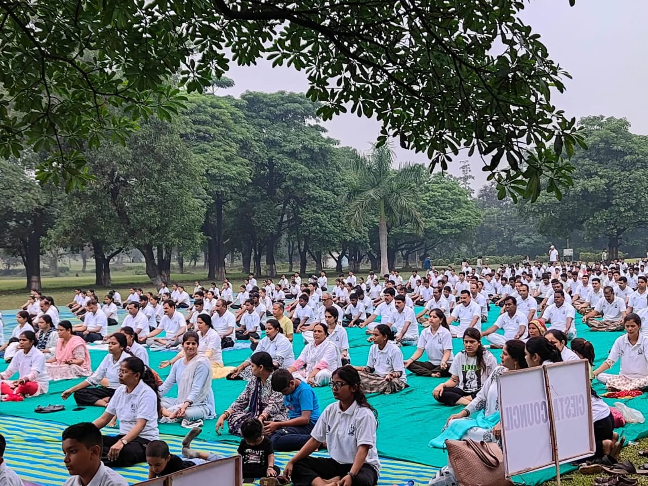 कोरबा : एसईसीएल गेवरा क्षेत्र में मनाया गया अंतर्राष्ट्रीय योग दिवस 2025 कोरबा : एसईसीएल गेवरा क्षेत्र में मनाया गया अंतर्राष्ट्रीय योग दिवस 2025