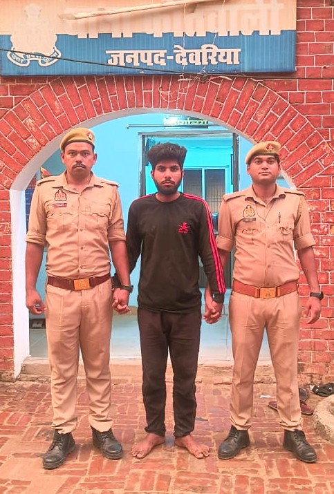 फोटो फोटो
