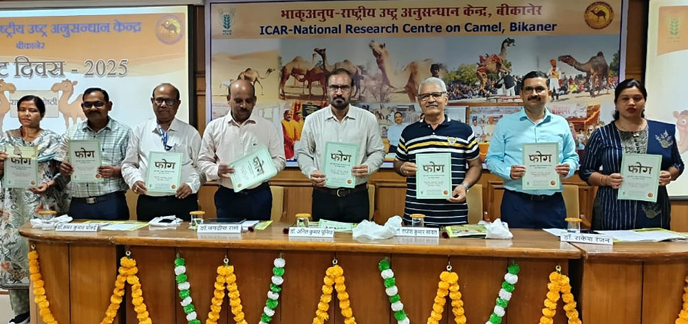 विश्व ऊंट दिवस : देशभर के विशेषज्ञों ने ऊंटाें की भारत एवं वैश्विक स्तर पर उपयोगिता और संभावनाओं पर गहन चर्चा की विश्व ऊंट दिवस : देशभर के विशेषज्ञों ने ऊंटाें की भारत एवं वैश्विक स्तर पर उपयोगिता और संभावनाओं पर गहन चर्चा की