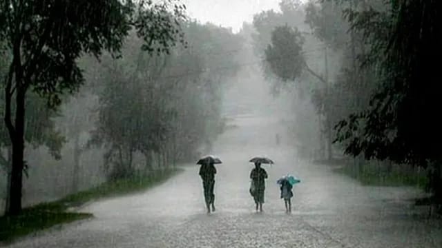 पश्चिम बंगाल में पहले से बारिश हुआ कम पश्चिम बंगाल में पहले से बारिश हुआ कम