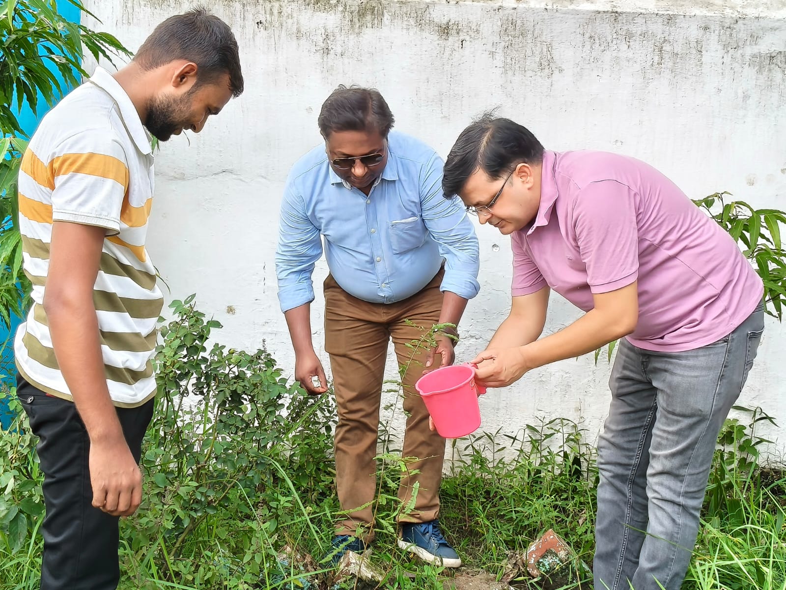 पौधारोपण करते लोग पौधारोपण करते लोग