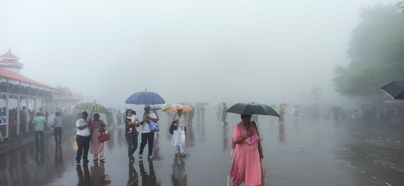 शिमला में वर्षा शिमला में वर्षा