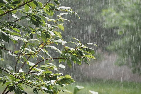 बारिश की फाइल फोटो बारिश की फाइल फोटो