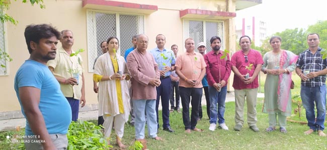 वृक्षारोपण वृक्षारोपण