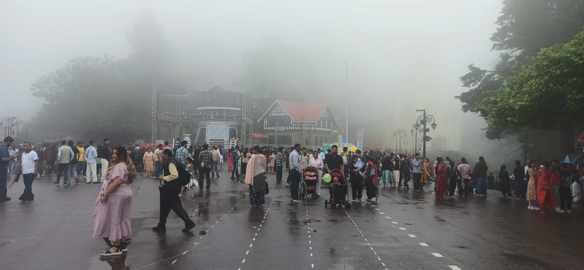 शिमला में वर्षा शिमला में वर्षा