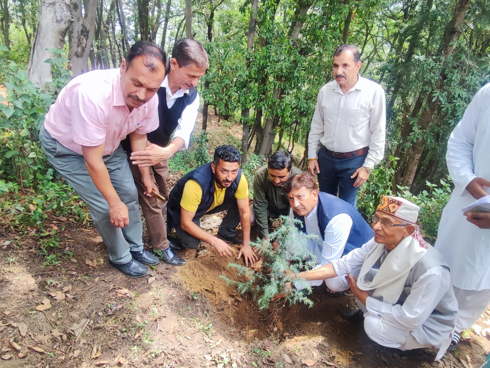 डॉक्टर सिकंदर कुमार पौधारोपण करते हुए डॉक्टर सिकंदर कुमार पौधारोपण करते हुए