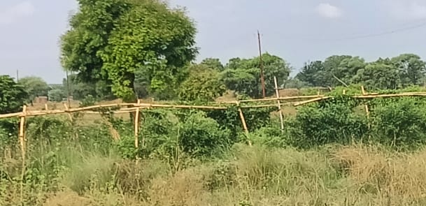 लालगंज क्षेत्र में सब्जी की खेती में जुटे किसान। लालगंज क्षेत्र में सब्जी की खेती में जुटे किसान।