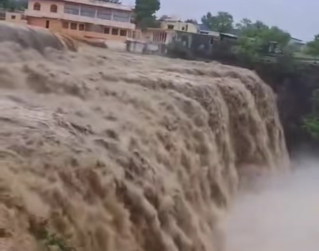 बारिश में पिकनिक का मूड हो तो घर के आसपास ही मनाएं, नदी-तालाब के पास गए तो होगी कार्रवाई बारिश में पिकनिक का मूड हो तो घर के आसपास ही मनाएं, नदी-तालाब के पास गए तो होगी कार्रवाई