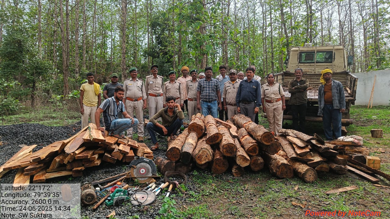 Seoni: 66 pieces of illegally stored teak forest produce seized from the courtyard of a house, two arrested Seoni: 66 pieces of illegally stored teak forest produce seized from the courtyard of a house, two arrested